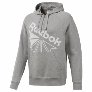 Bluza Z Kapturem Męskie Reebok Classic Graphic Half-Zip Szare PL 92SGXEO